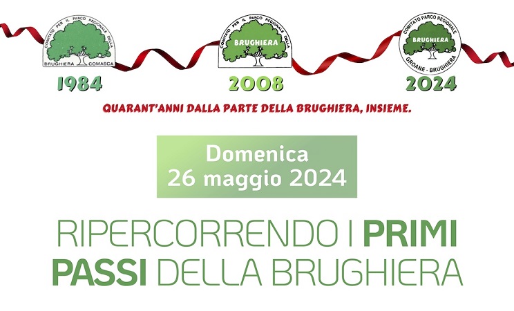 Immagine Ripercorrendo i primi passi della Brughiera