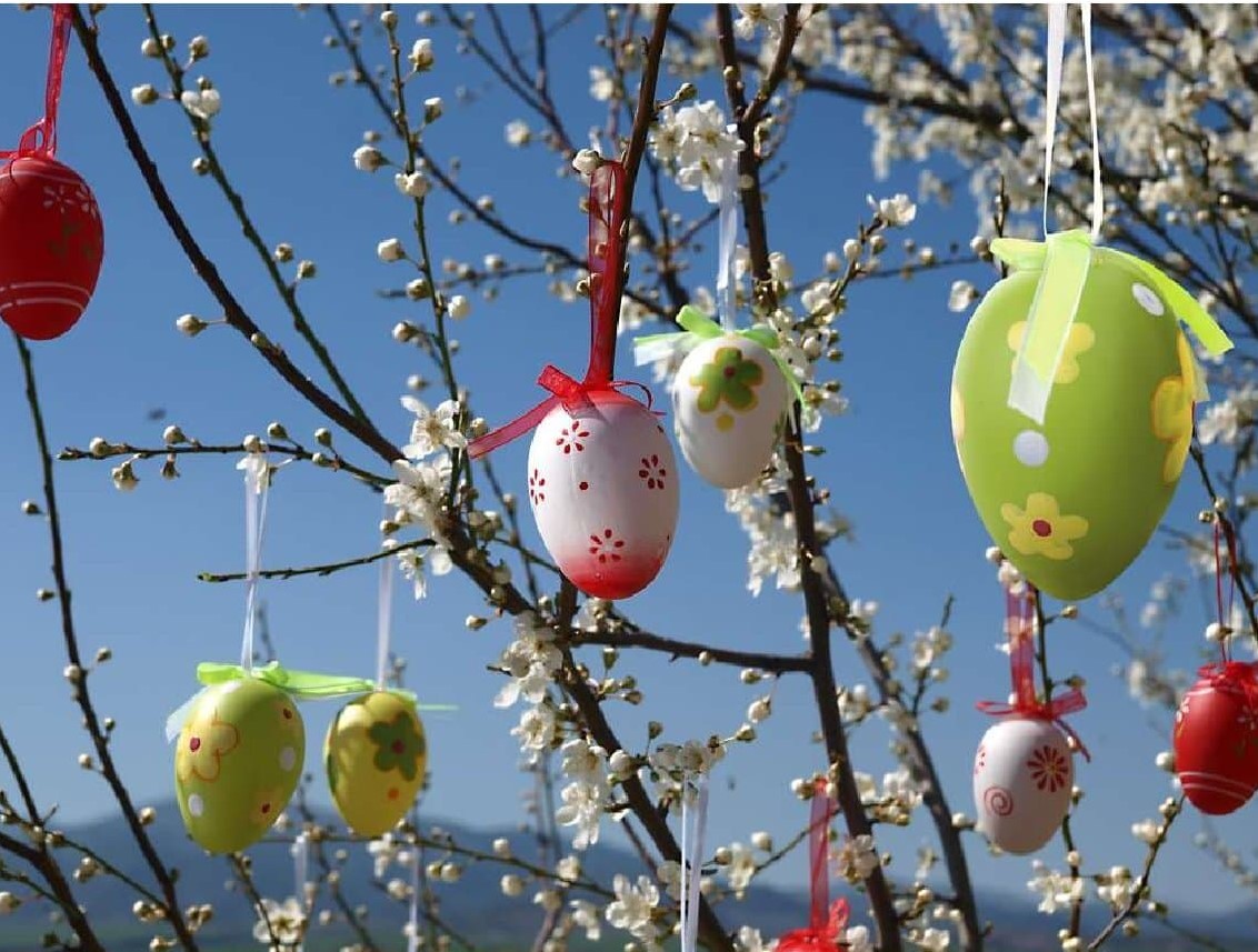 Immagine Medateca chiusa sabato 16 aprile 2022