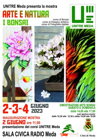 Immagine Arte e Natura: i Bonsai