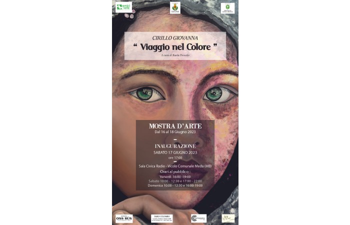 Immagine Viaggio nel colore