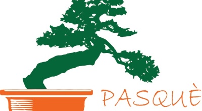 luogo Pasquè Bonsai Club